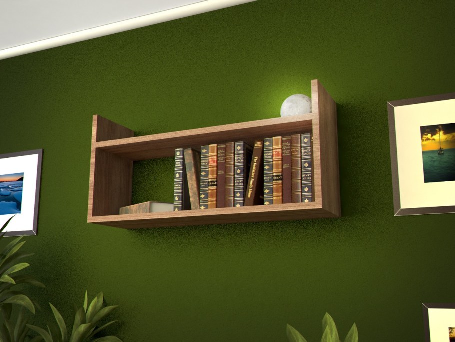 Книжные полки