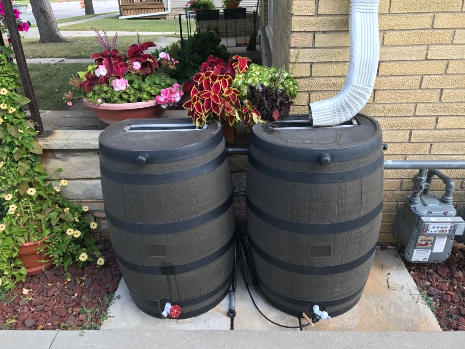 Красивая бочка для дождевой воды