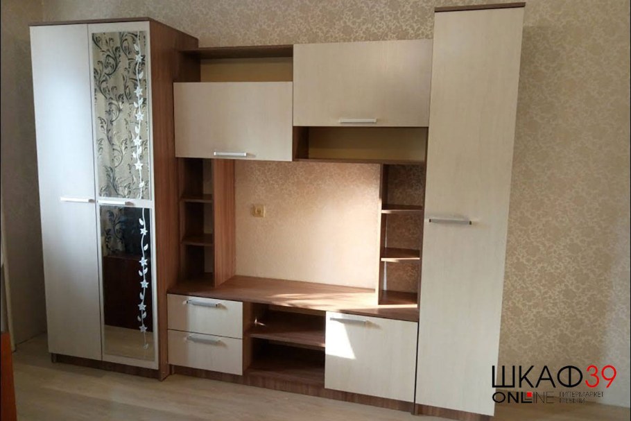 Стенка Флора фабрика БТС