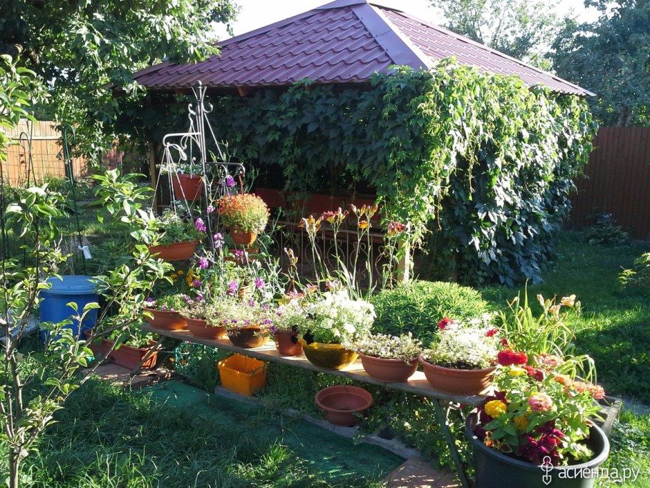 Дачные изюминки