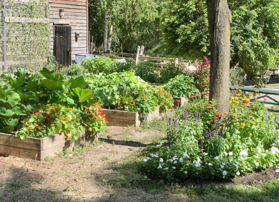 Грядки-клумбы мавританский дворик