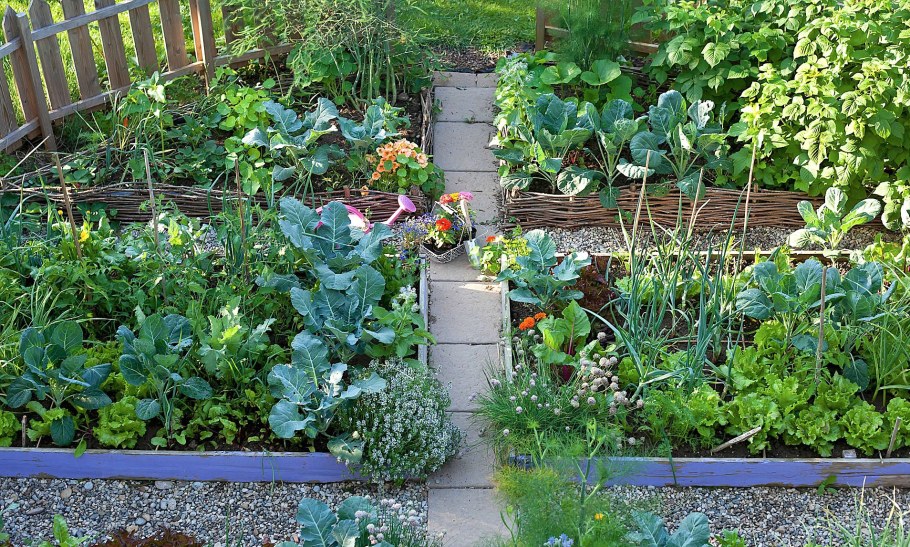 Любимая дача сад и огород