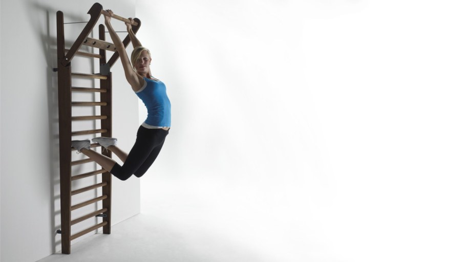 ВИС на шведской стенке