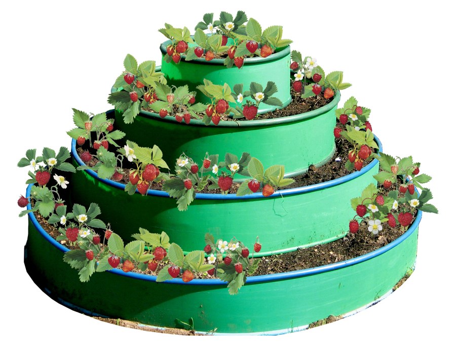 Многоуровневые грядки для клубники