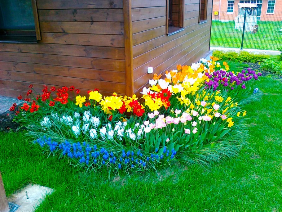 Украсить клумбу на даче