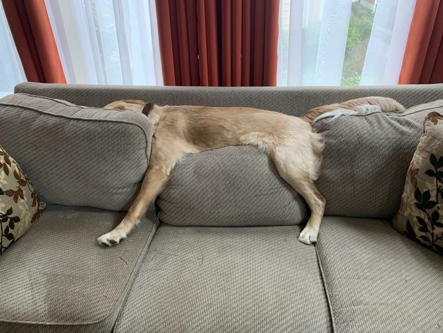 Душить диван