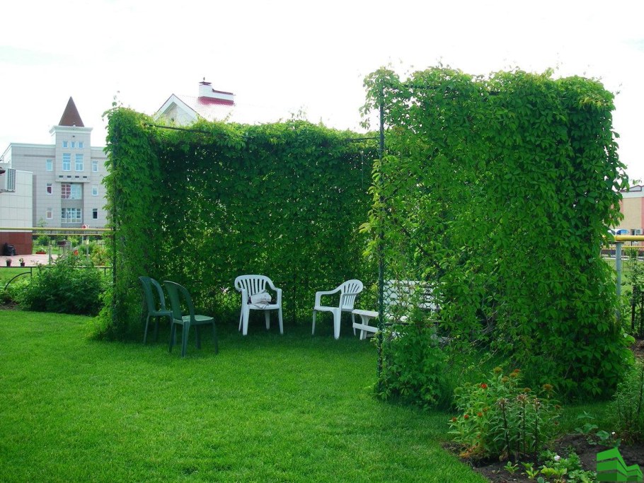 Патио с зеленой изгородью