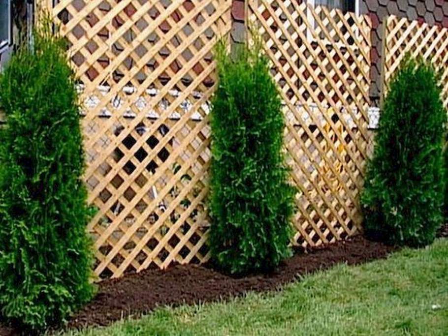 Перегородки в саду