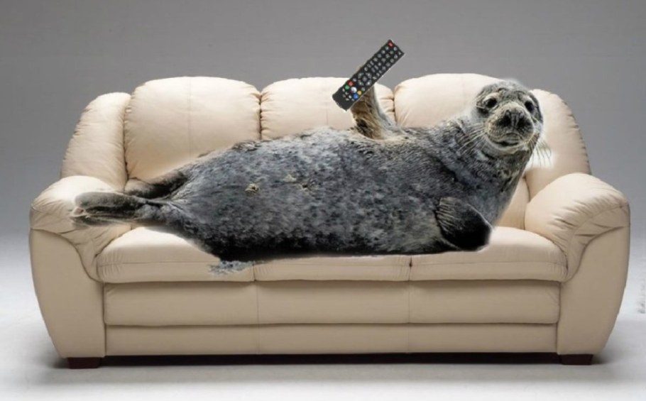 Мужчина на диване