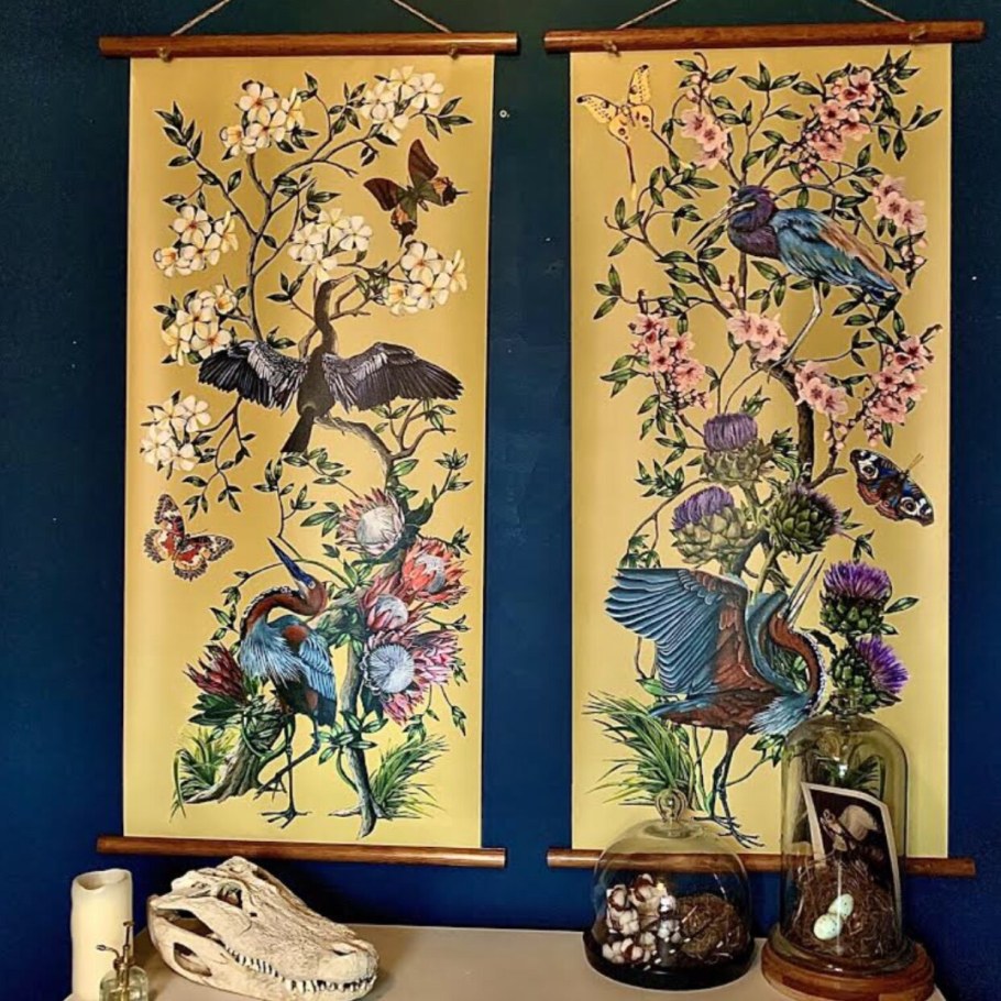 Рыбки Шинуазри