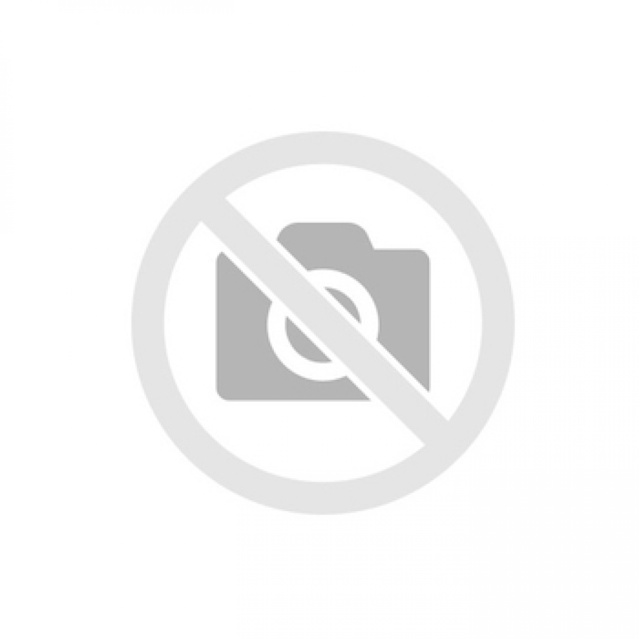 Родник Алтая Белокуриха