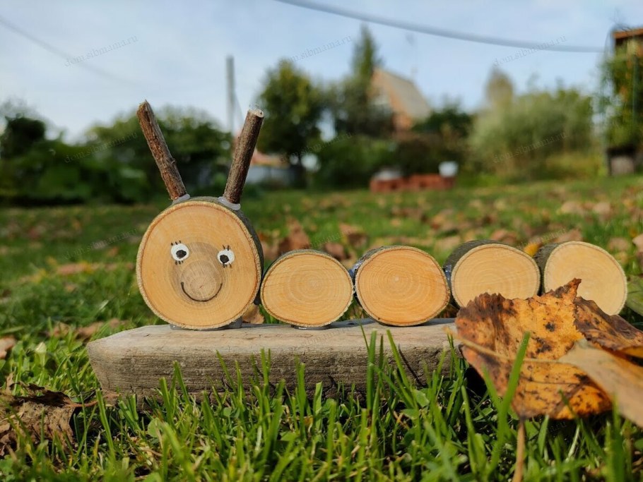 Спил дерева