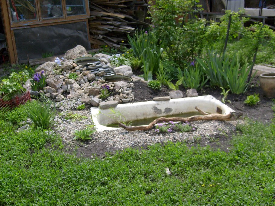 Клумбы из ванной на даче