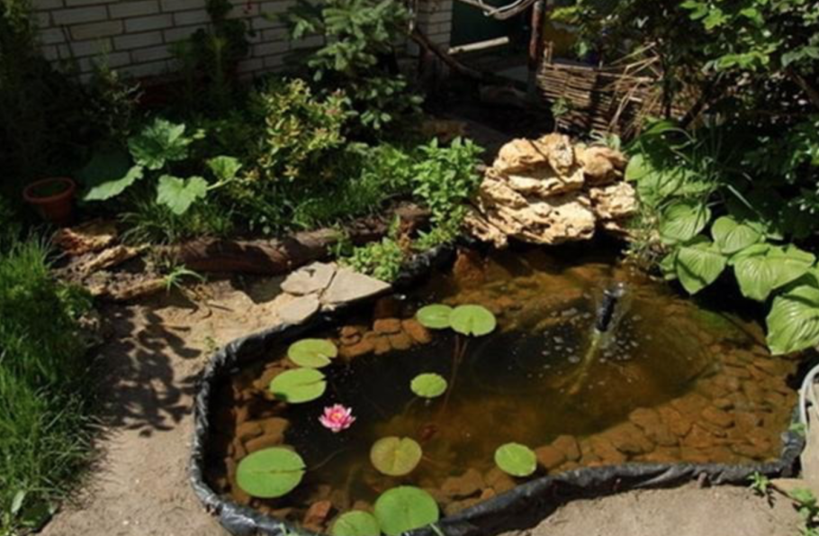 Пруд из ванной на даче