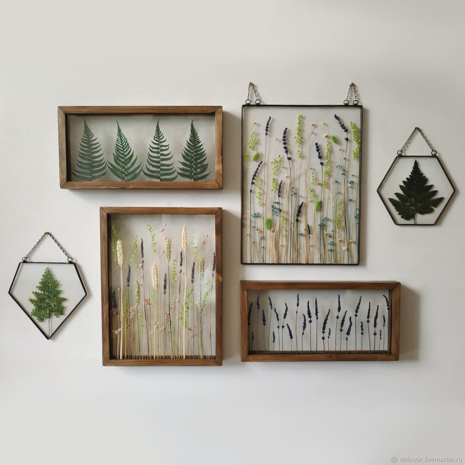 Настенный Гербариум с папоротником