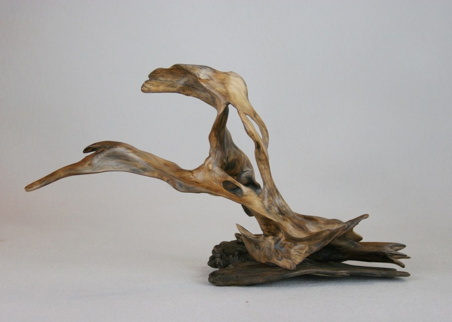 Скульптуры из коряг Джеффро Уитто