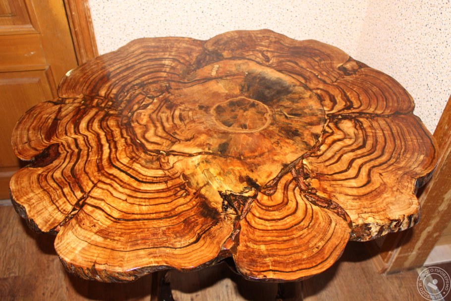 Мебель из корней деревьев