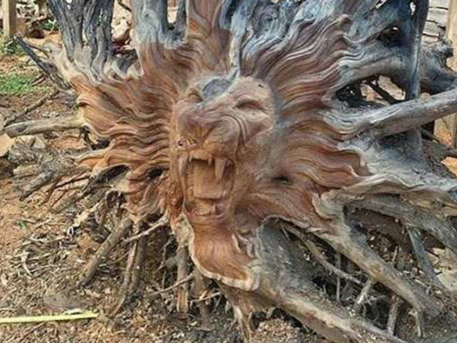 Скульптуры из корней деревьев