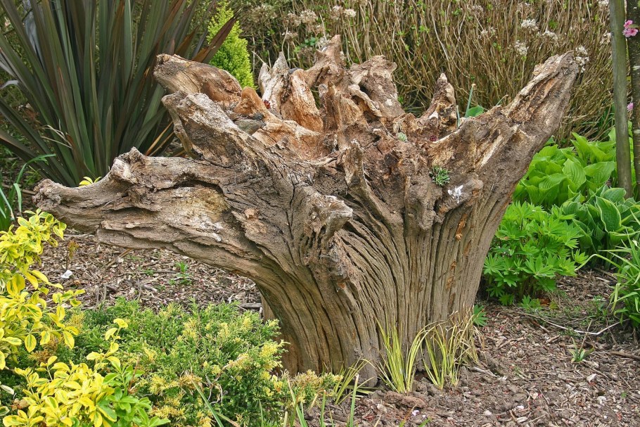 Стул из веток