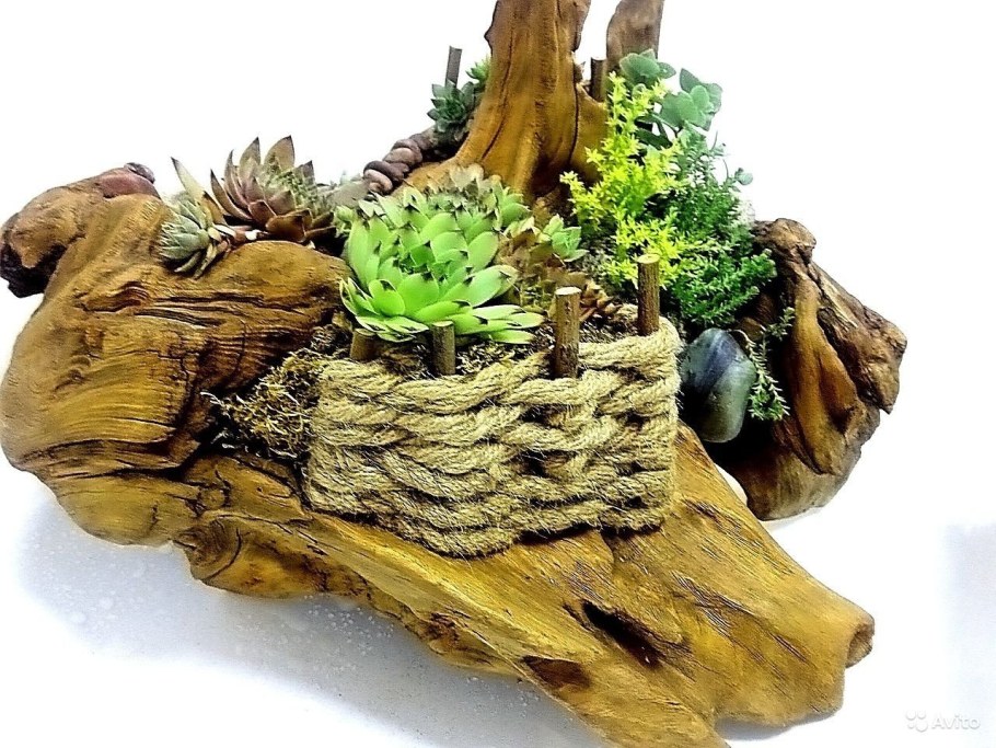 Дизайнерский пень