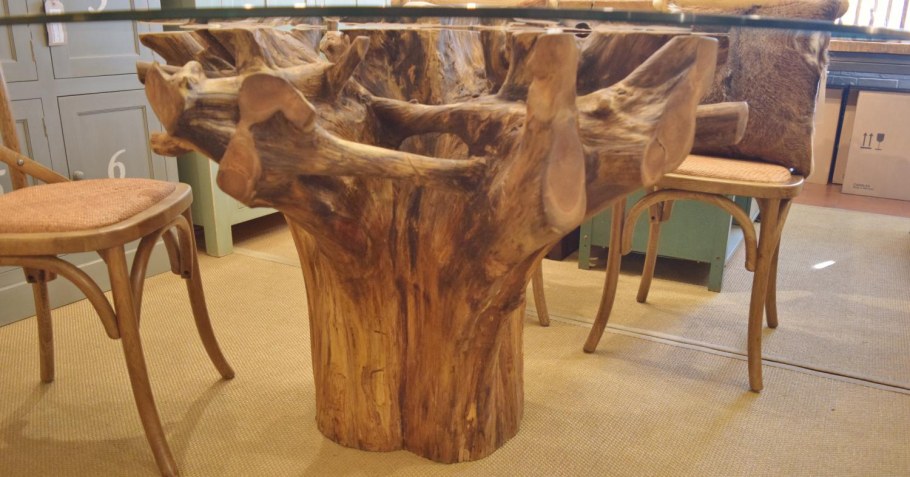 Дерево в интерьере