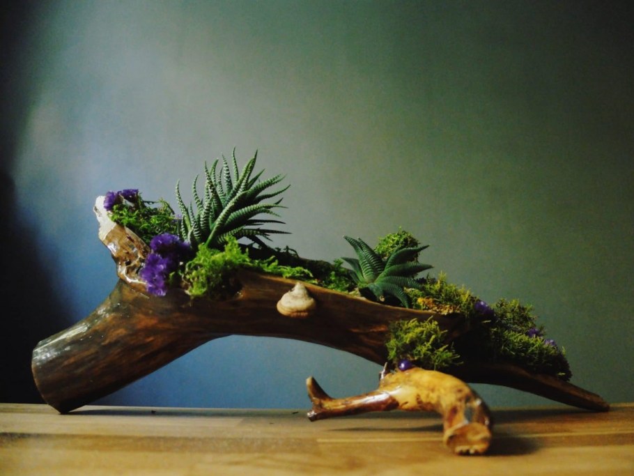 Кровать корнепластика