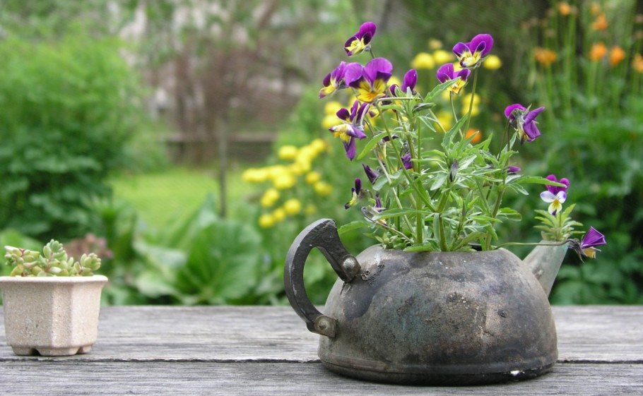 Цветочный горшок из чайника