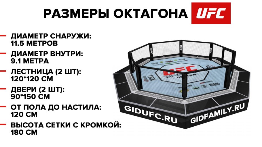 Октагон ринг восьмиугольник