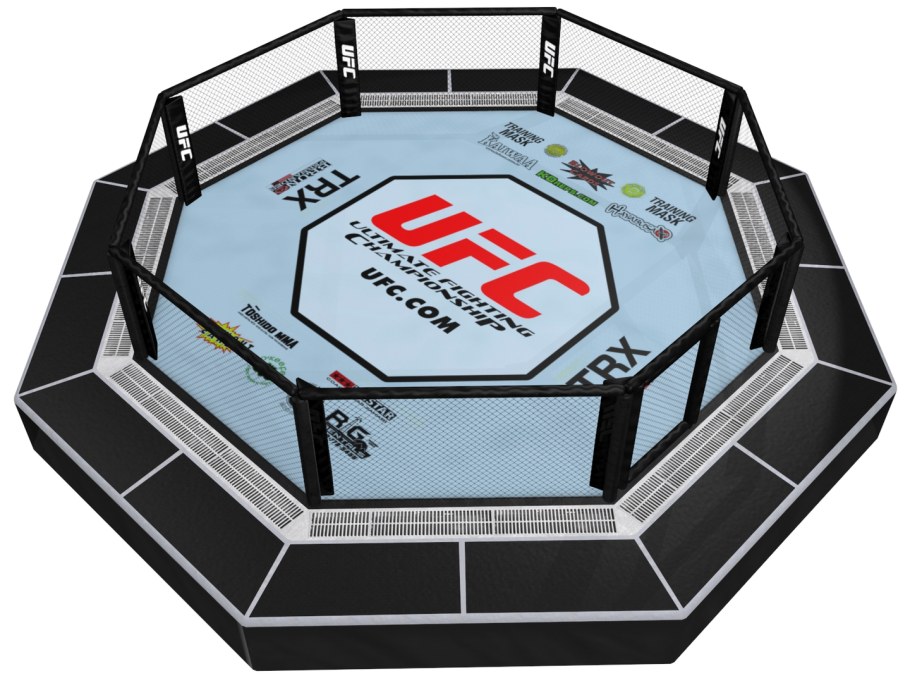 Октагон ринг в ММА
