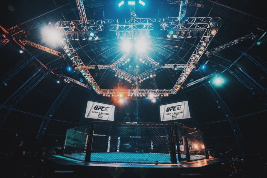 Октагон Fight Nights