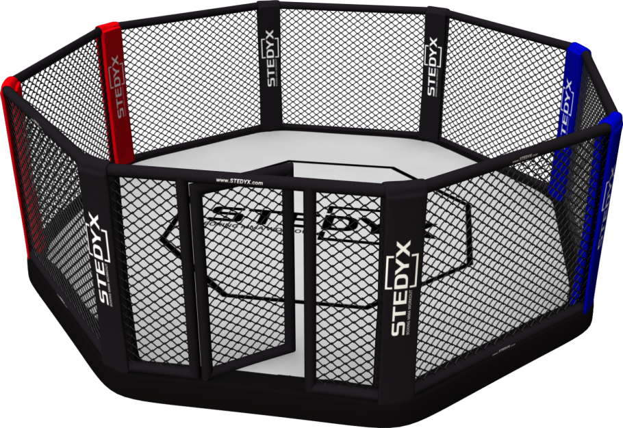 Октагон ринг UFC