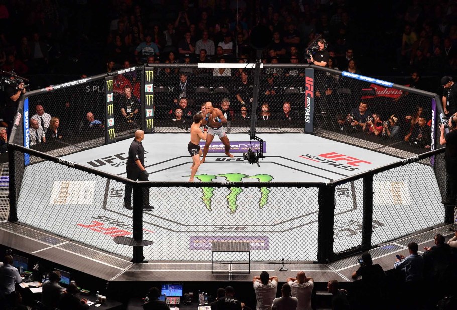 Октагон ринг восьмиугольник