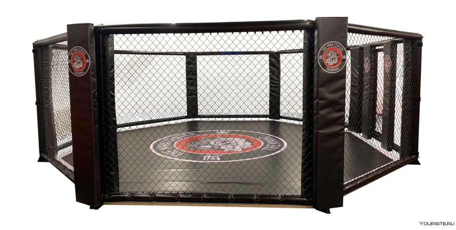 Octagon надпись на футболке