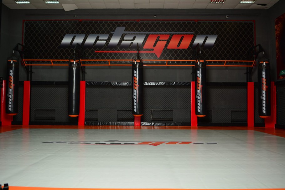 Octagon Cage MMA