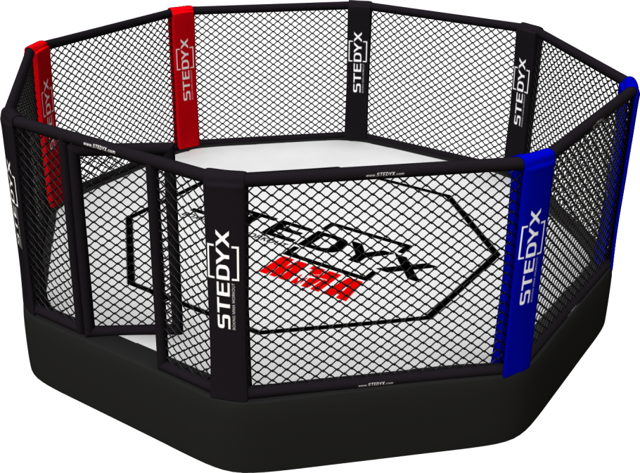 Октагон UFC 2016 клетка