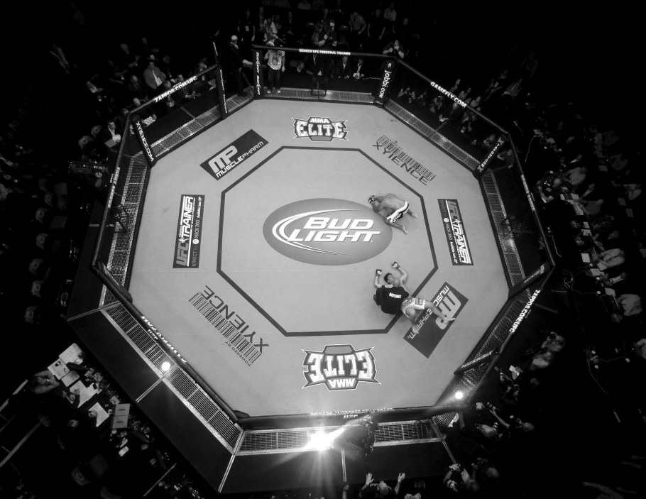 ЦСКА Арена октагон