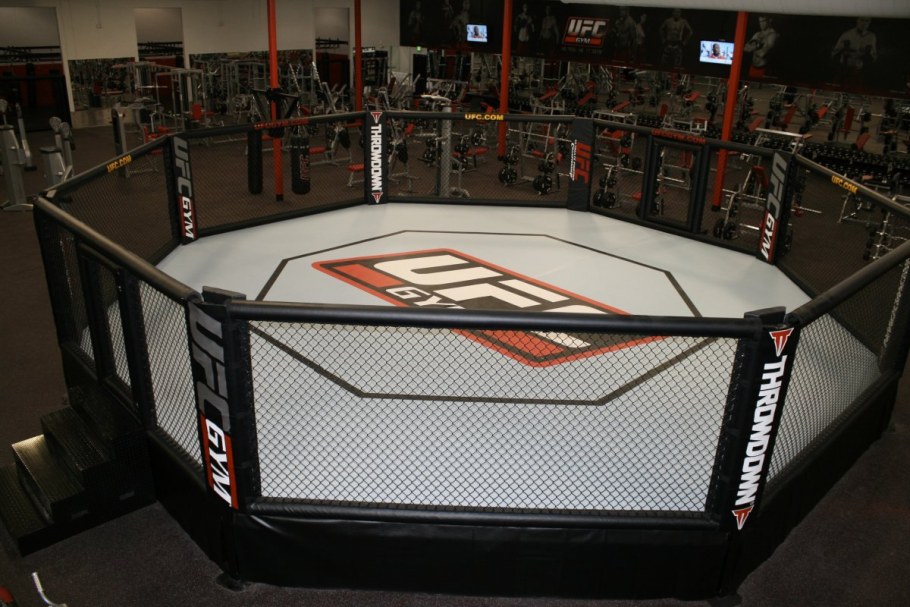 Юфс Арена октагон