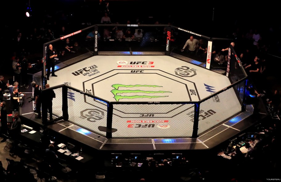 Октагон UFC вектор