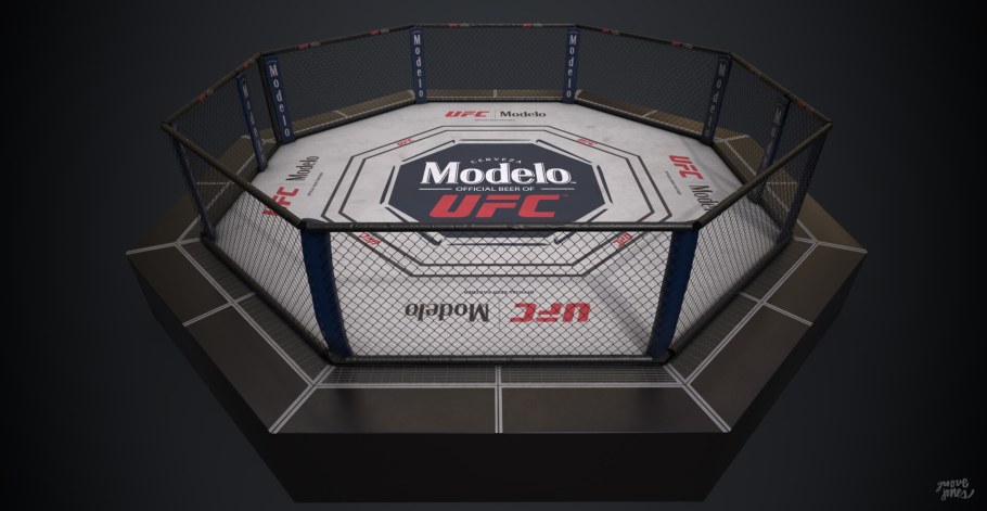Октагон ринг в MMA