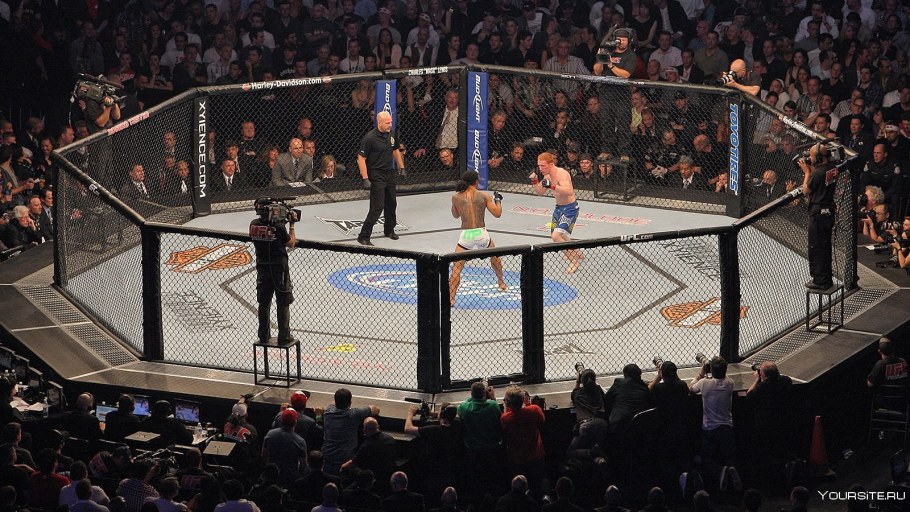 Мэдисон сквер Гарден в Нью-Йорке UFC