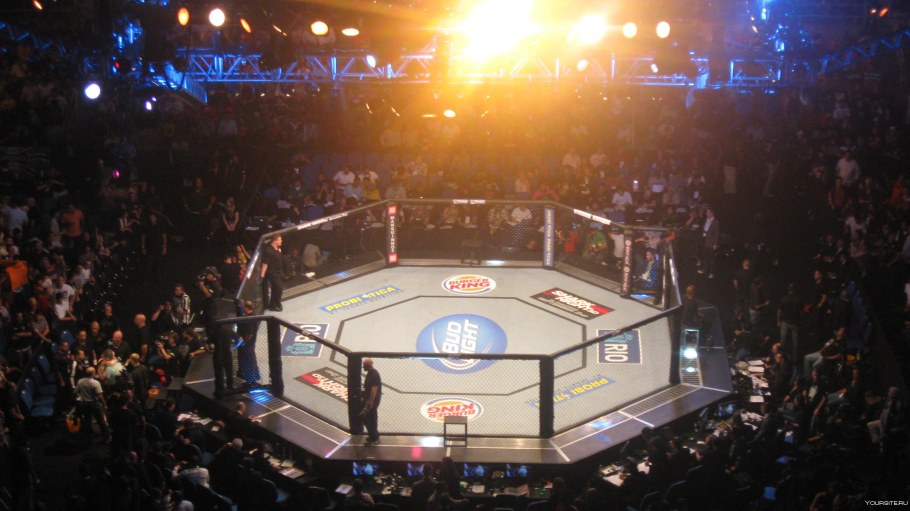 Октагон 2 на 2