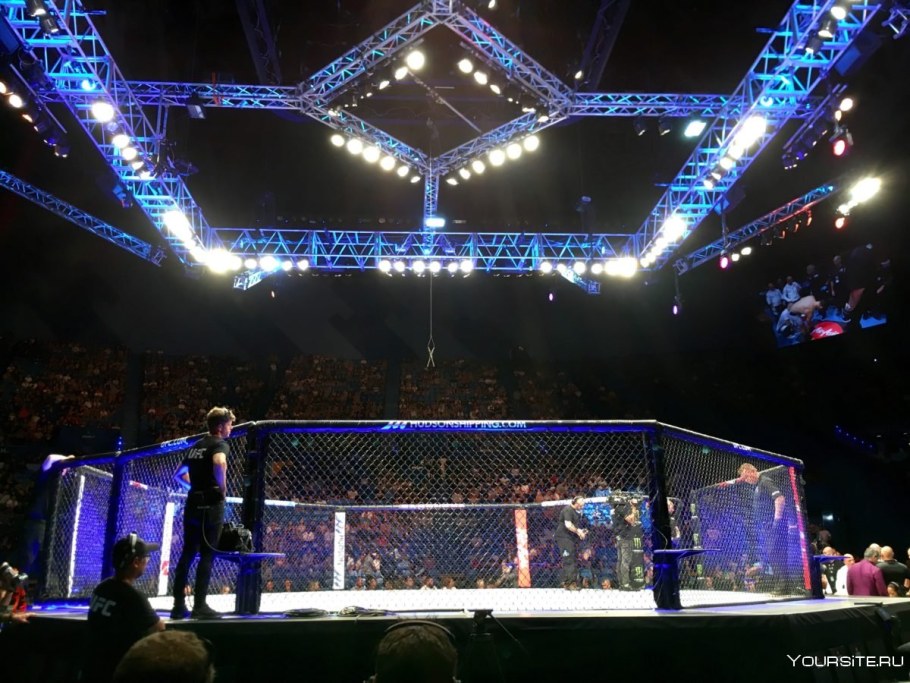 8 Угольник октагон UFC