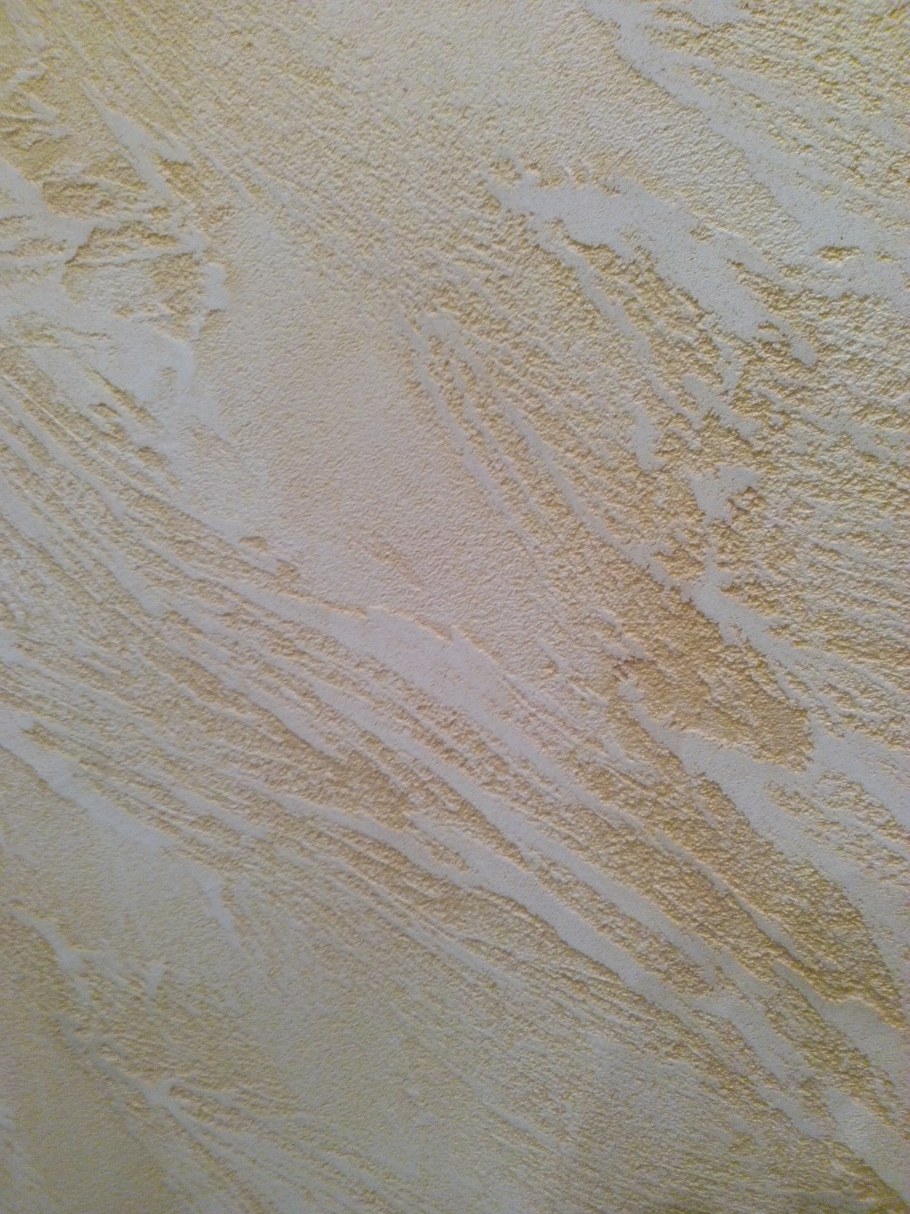 Леонардо венецианка