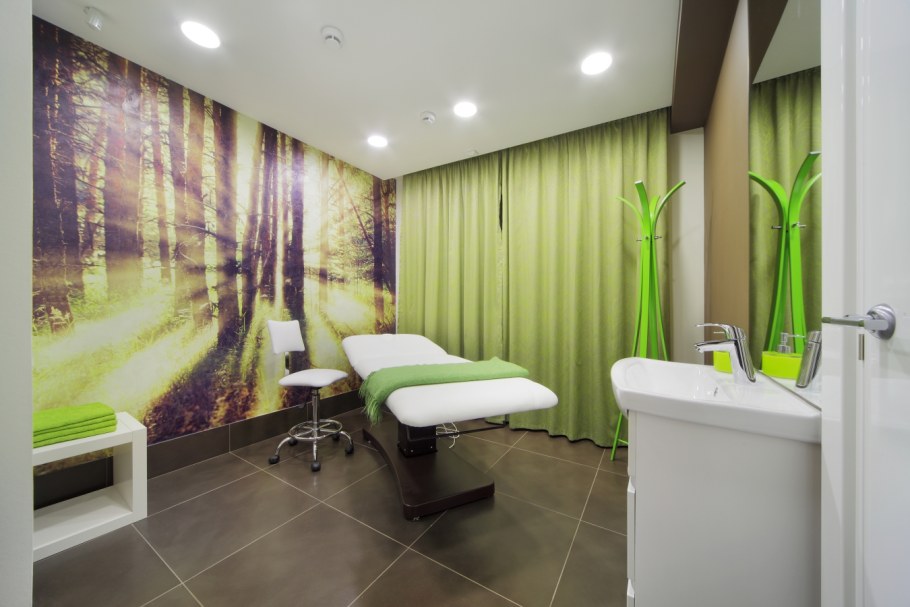 Фитостена мох