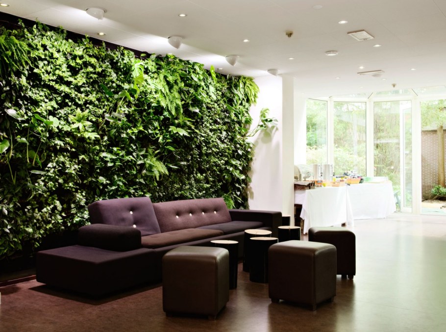 Дерево на стене в интерьере