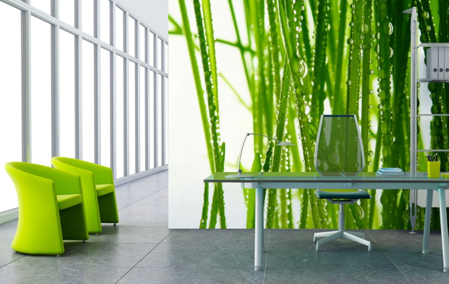 Классные фотообои для стен