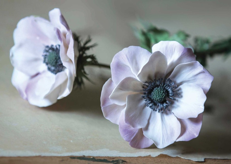 Агитационный фарфор Кандинский