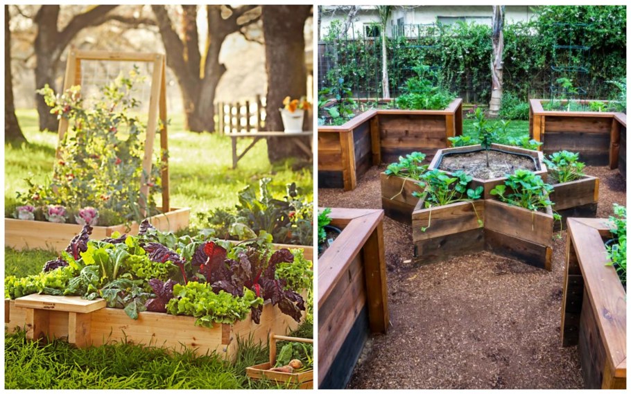 Дизайнерские идеи для сада