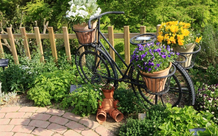 Перголы и патио зоны