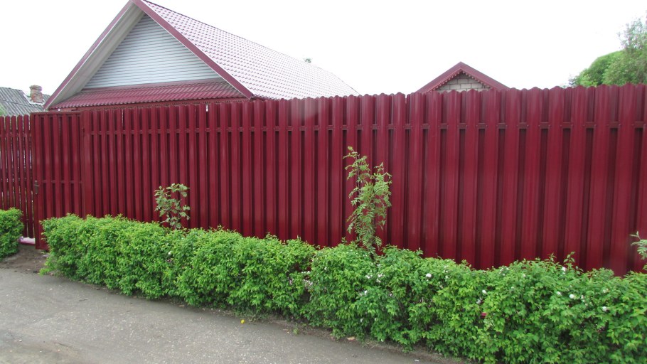 Озеленение вдоль забора